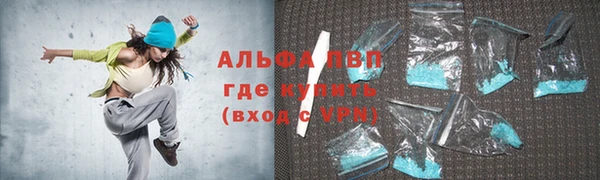 стаф Алзамай