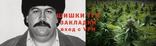стаф Алзамай