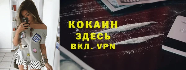 стаф Алзамай