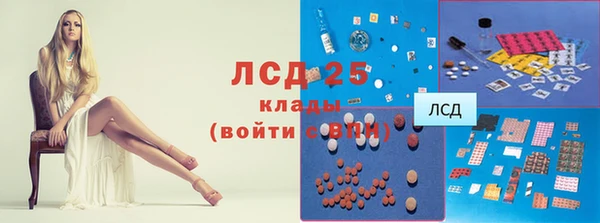 стаф Алзамай