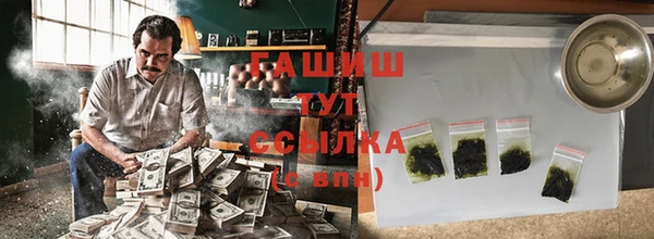 стаф Алзамай